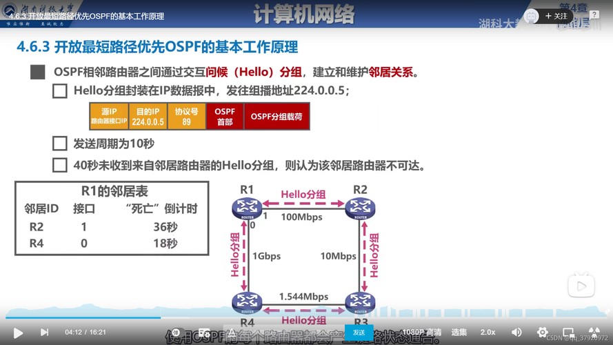 深入理解网络Ping及其日常应用