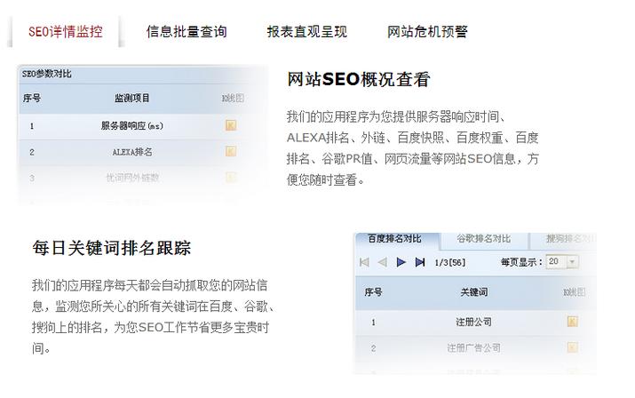 网站seo检测