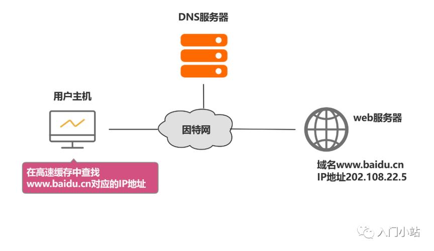 什么是DNS