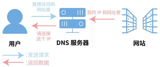 DNS服务器