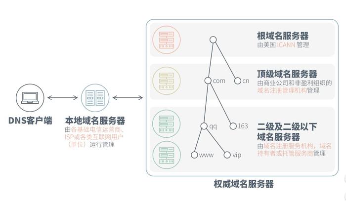 在互联网的世界中，DNS（域名系统）扮演着极为重要的角色。它负责将人类友好的域名翻译成机器可读的IP地址，使得网络访问成为可能。因此，确保DNS的健康状态和正确配置对于任何连接到互联网的设备都是至关重要的。下面将详细介绍如何进行DNS检测，以确保您的网络连接顺畅无阻