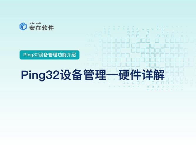 详细解析Ping的价格与功能