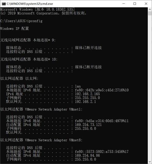 在网络诊断和性能测试中，ping命令是一个基本而重要的工具。它通过发送ICMP回显请求消息到指定的目标IP地址，并等待回应，从而检测网络的连通性和通信质量。默认情况下，大多数操作系统中的ping行为是发送一系列数据包，通常为四个，每个包含32字节的数据。但ping工具的灵活性远不止于此，用户可以根据需要调整发送的数据包数量、大小以及其他参数。