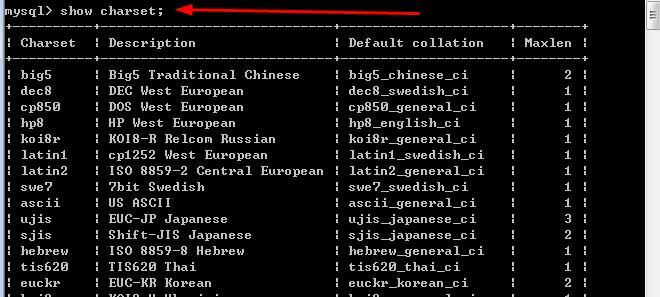 在现代网络应用中，PHP与MySQL的结合是非常常见的搭配。PHP是非阻塞I/O的编程语言，而MySQL则是世界上最受欢迎的开源数据库之一。两者结合可以实现动态网页和数据库管理等功能。下面将详细探讨如何在PHP中检测MySQL连接，并提供一些实用代码和问题解答。