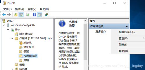 在Windows操作系统中，DNS（域名系统）设置是网络连接的一个核心组成部分。正确地配置DNS能够确保网络浏览的速度和稳定性。下面将详细介绍如何在Windows 10系统中设置DNS，以确保网络连接的优化。