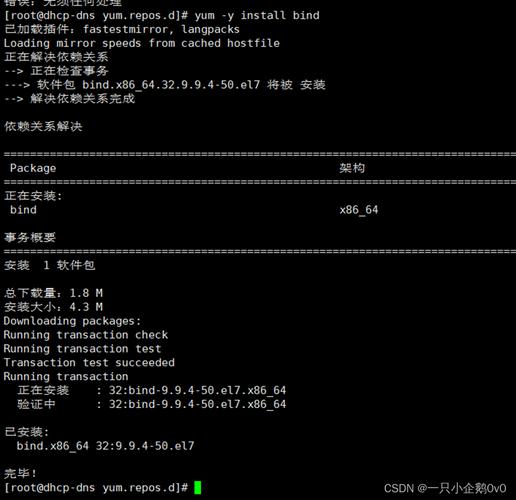 域名系统（DNS）解析