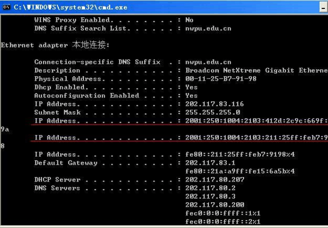 网站IPv6改造升级核验指标及要点