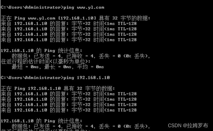 深入解析DNS Ping值的重要性与影响