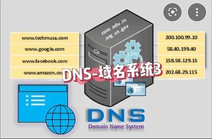 域名DNS查询