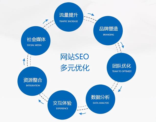 网站seo优化检测