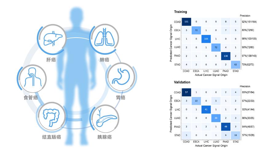 先声基因检测的准确性