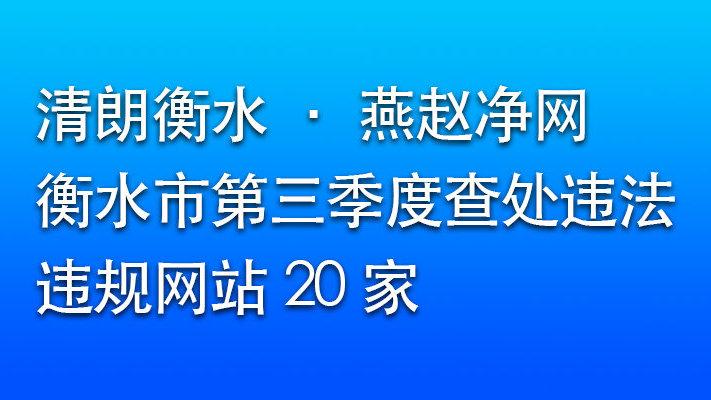 衡水网站检测公司服务