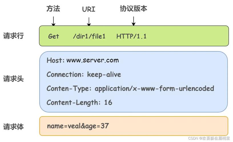 在网络连接的过程中，DNS（域名系统）起着至关重要的作用，它负责将用户输入的网址转换为计算机能够理解的IP地址。正确配置首选DNS服务器对于提升网络速度、保障网络安全都有着不可忽视的影响。下面详细介绍如何填写首选DNS服务器地址，以及提供相关的操作指南和建议。