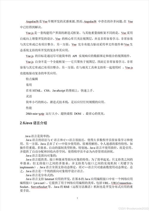 检测网站开发语言