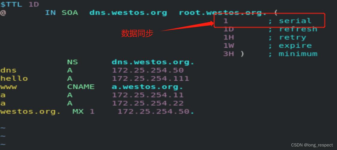 长沙电信DNS详细指南