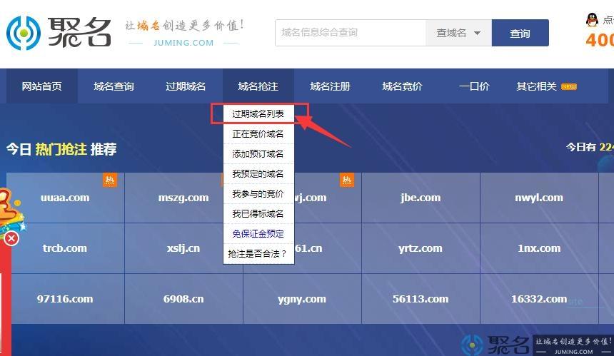 过期域名抢注查询指南