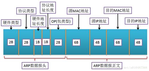 在网络通信领域，尤其是涉及至千兆以太网连接时，了解数据包的大小变得尤为重要。本文将围绕千兆ping多少字节的问题展开详细讨论，并利用小标题和单元表格的形式进行结构化阐述，确保内容的易读性和实用性。