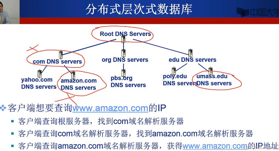 1. DNS 概念