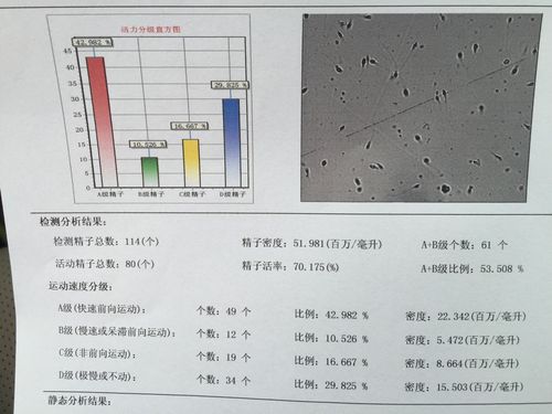 精子检测手工分析