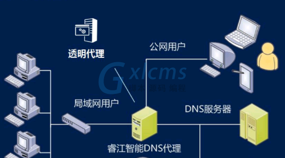 关于众多DNS服务中哪个较为优秀，本次分析将基于服务器的可靠性、速度、安全性能、兼容性和用户体验等多个维度进行详细探讨。具体如下