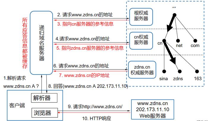 探索美国DNS的作用与重要性