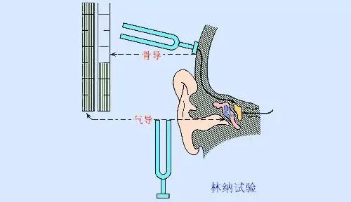 粗略检测听力的方法