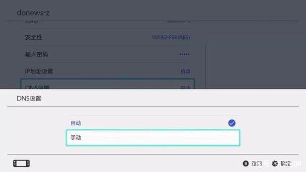 详细解析，Nintendo Switch联通DNS设置指南