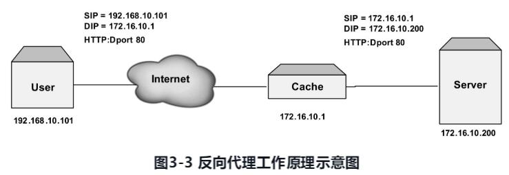 DNS反向代理的