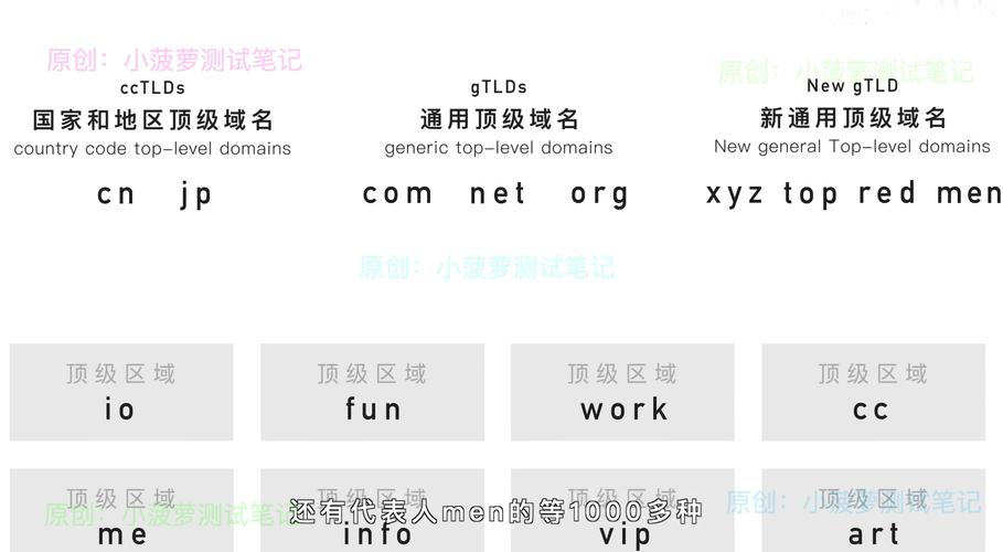 域名解释查询