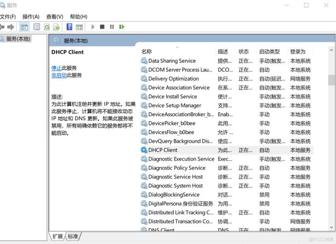 深入了解DNS在线查询工具