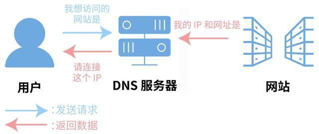 1. DNS基础与作用