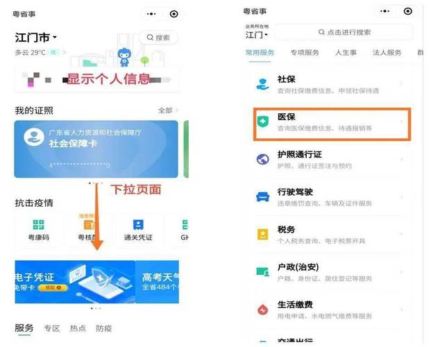 粤备案号查询，了解与获取