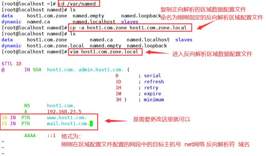 详细解析Linux系统中的DNS配置与应用