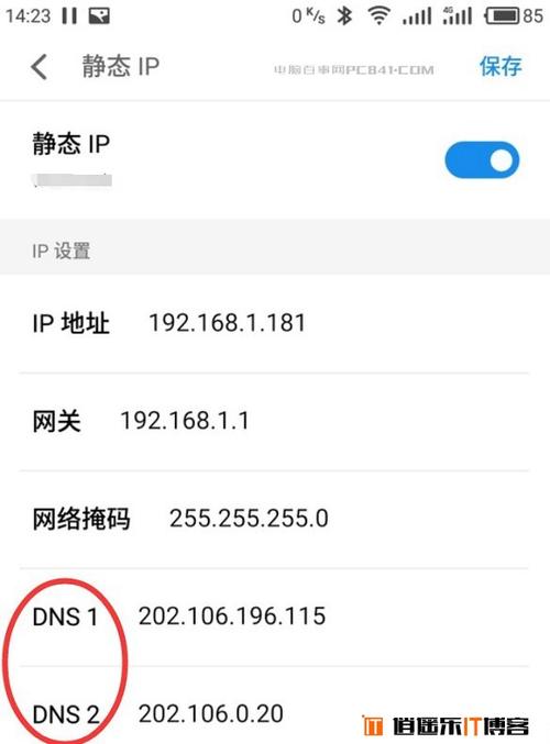 手机DNS地址