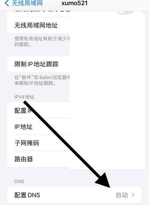 设置手机DNS是提升网络浏览体验和保护个人隐私的有效手段之一。通过调整DNS服务器，可以加速网页加载、绕过地区限制，甚至解决特定的网络连接问题。本文将详细解析在智能手机上如何设置DNS的步骤，并提供一些额外的相关信息。