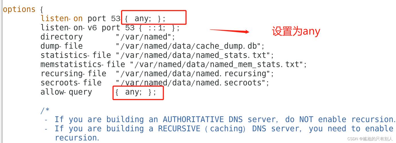 1. IPv6 DNS