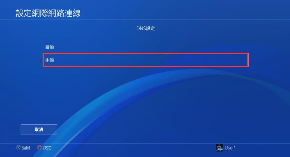 ps4dns 设置教程