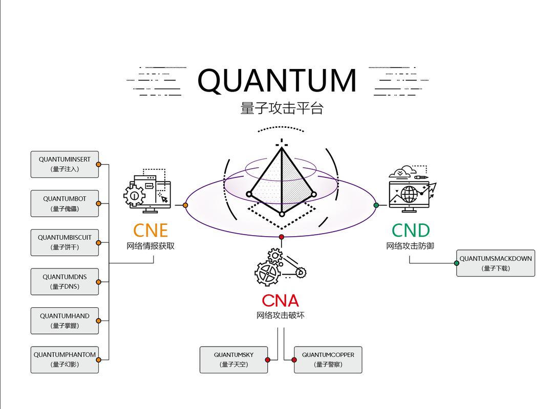 在当今网络世界中，DNS（Domain Name System）扮演着至关重要的角色。它是一个用于将域名转换为IP地址的系统，使得用户能够通过易于记忆的名称来访问网站而不是复杂的数字代码。本文旨在为初学者提供一个全面的指南，介绍如何配置和使用DNS，确保网络连接的最佳性能和安全性。