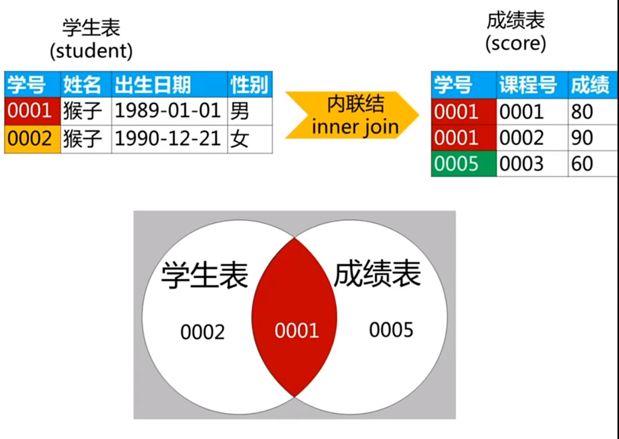 在ASP.NET开发中，多表查询是一项基础也是核心的技术。它允许开发者从数据库中的多个表中检索相关数据，这在实现复杂业务逻辑时尤为重要。本文将深入探讨ASP.NET中多表查询的不同技术及其应用，帮助开发者更好地理解和掌握这一技术。