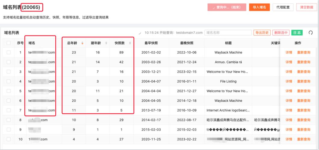 过期域名批量查询指南