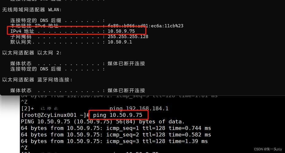 DNS防火墙