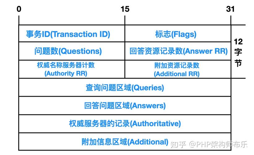 DNS知乎