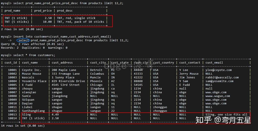 SQL 插入查询数据