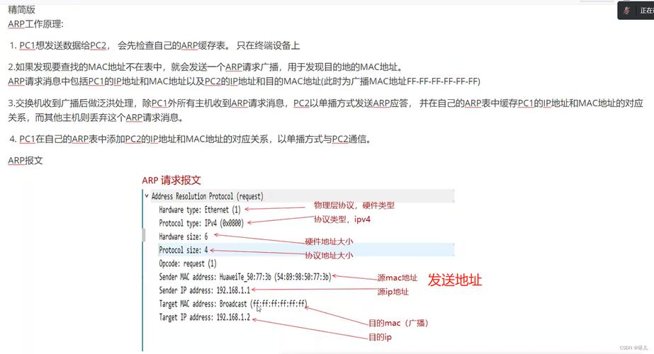 ICMP协议并没有特定的端口号，而是直接封装在IP包内进行传输。Ping命令基于ICMP协议，主要用于测试网络的连通性和测量网络延迟，而不涉及具体的端口号检测。理解ping命令及其背后的ICMP协议，对于网络管理和故障排除至关重要。