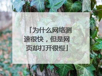 深入了解DNS测速的重要性与实施