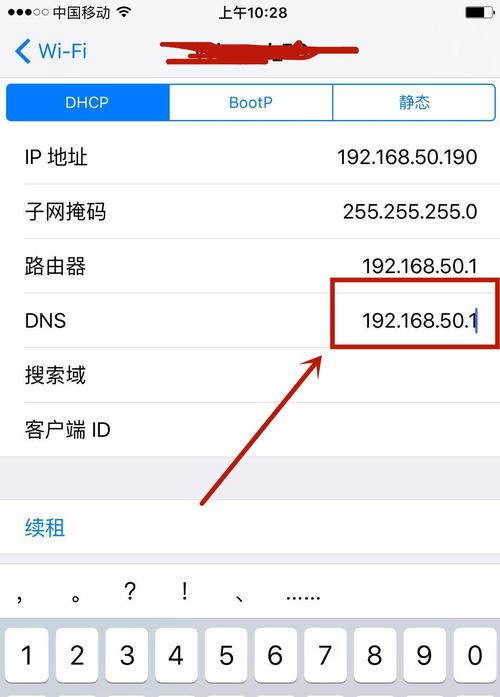 DNS设置在iOS设备中的操作与优化