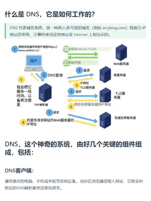 DNS地址是什么意思