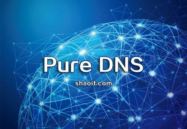 Pure DNS