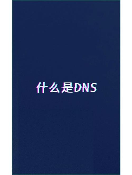 新网DNS是什么？