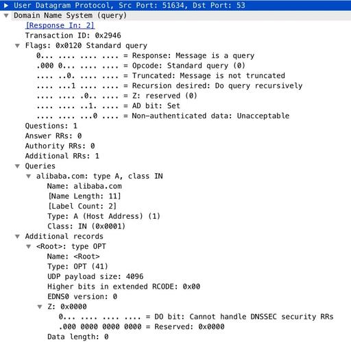 SSD DNS全面解析